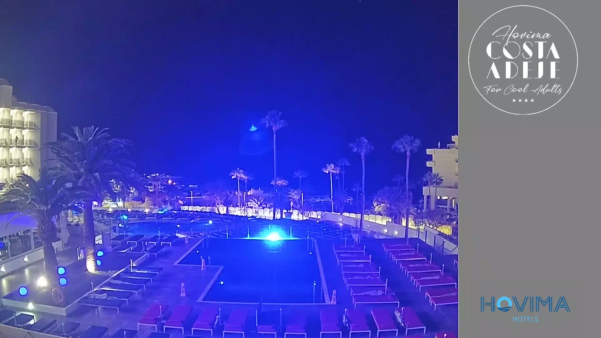 A nighttime view of a hotel pool area with palm trees, illuminated in blue light, under a clear, dark sky.