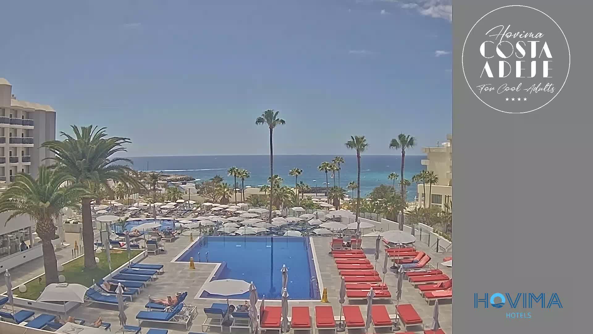 A resort pool area with red and blue lounge chairs surrounds a large swimming pool, with palm trees and a clear blue ocean visible in the background under a sunny sky.