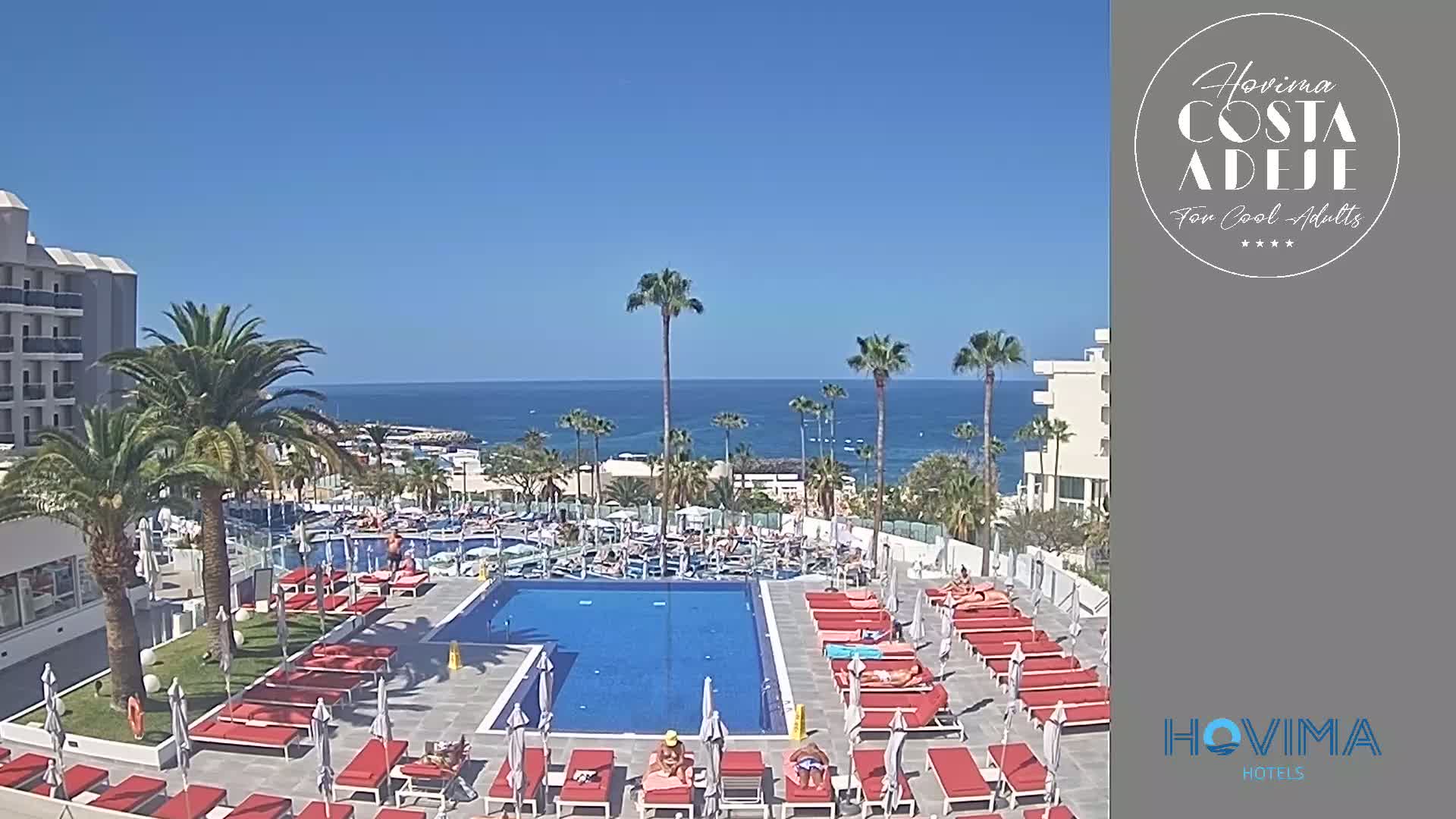 A sunny day overlooking a resort pool and ocean, surrounded by palm trees and buildings.