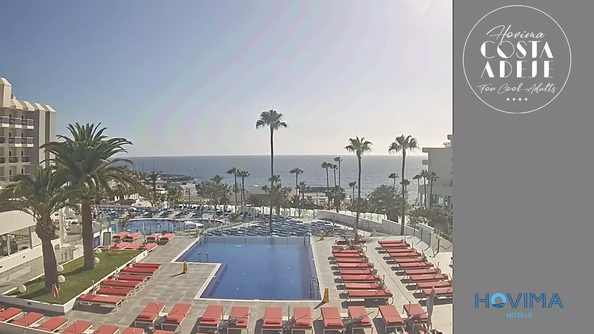 A resort pool area with orange lounge chairs surrounds a large rectangular pool, all situated near palm trees and overlooking a calm ocean under a clear blue sky.