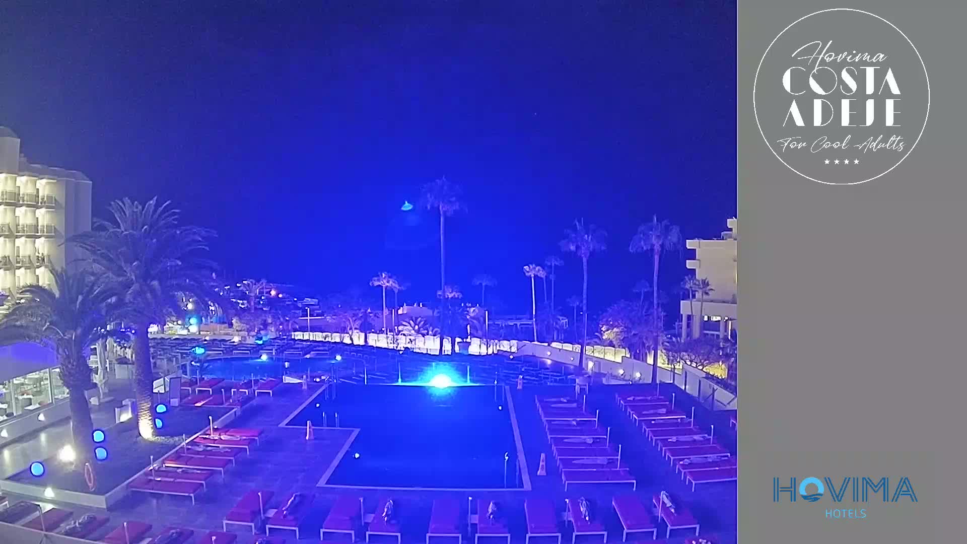 A nighttime view of a resort pool area with surrounding palm trees and a hotel building illuminated in blue light.