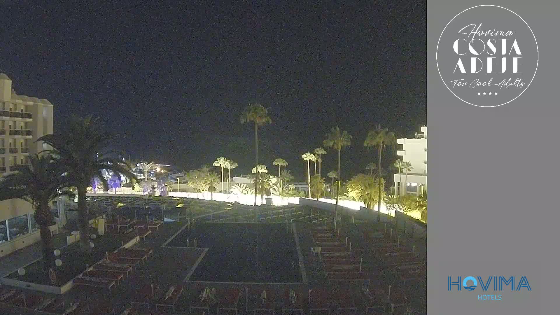 A nighttime view of a resort area with palm trees, low lighting, and rows of empty lounge chairs.
