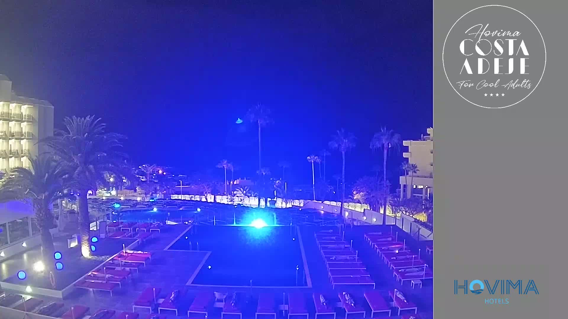 A nighttime view of a resort pool area with palm trees, lounge chairs, and a building illuminated in blue light.