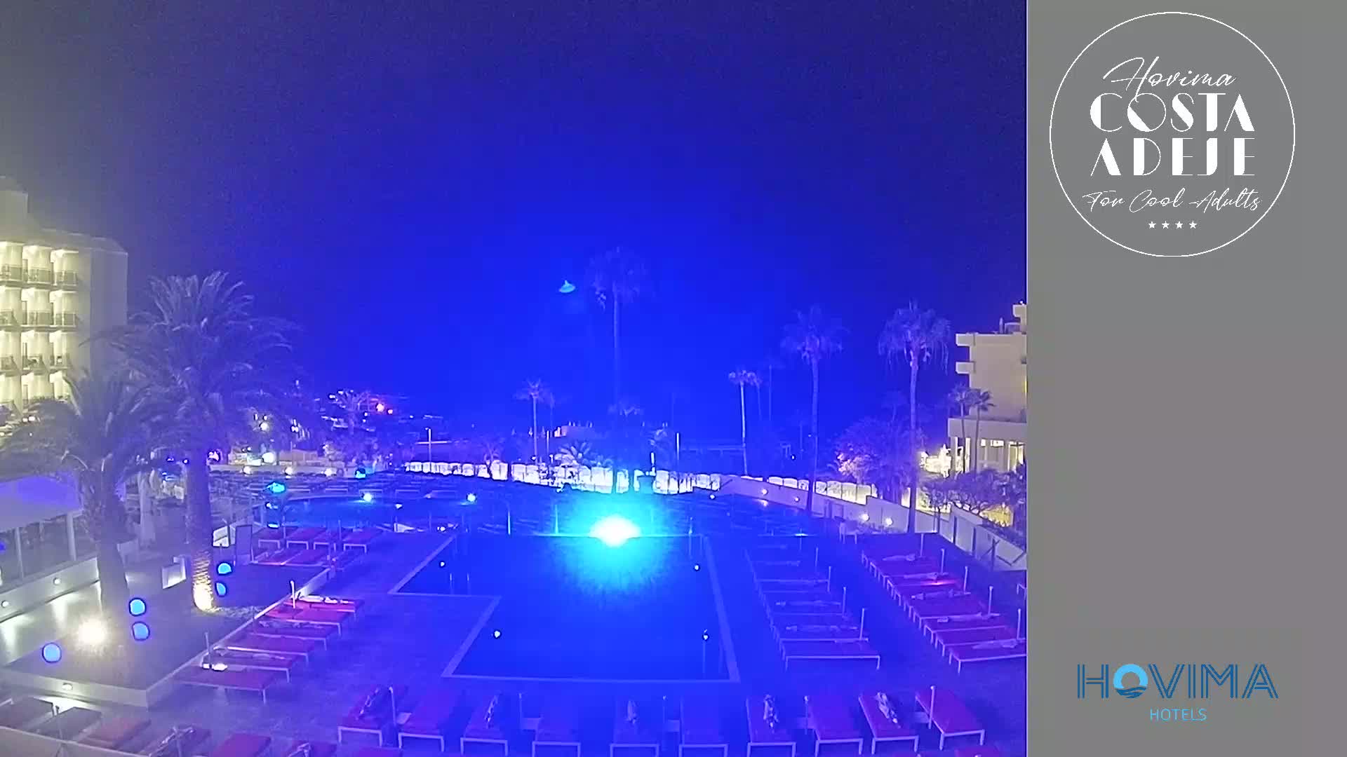 A nighttime view of a resort pool area with palm trees, lit in blue, under a clear, dark sky.