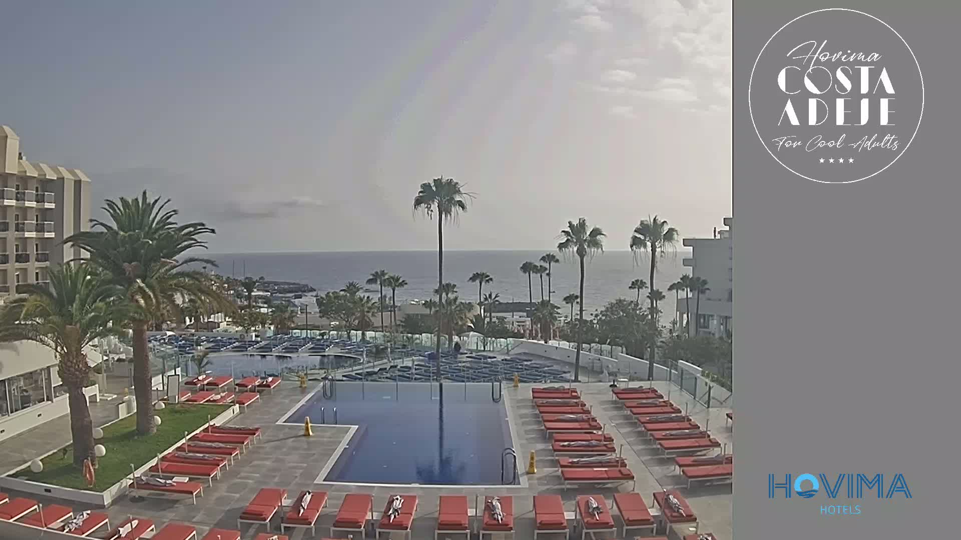 A large resort pool surrounded by lounge chairs and palm trees overlooks a calm ocean under a clear sky.