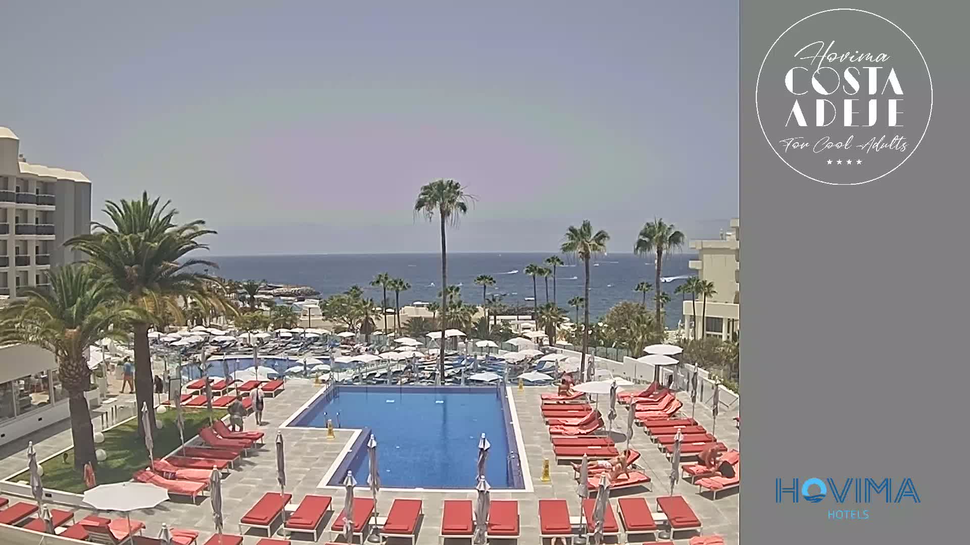 A resort pool area with red lounge chairs surrounds a large rectangular pool; palm trees and a calm ocean are visible in the background under a clear, sunny sky.