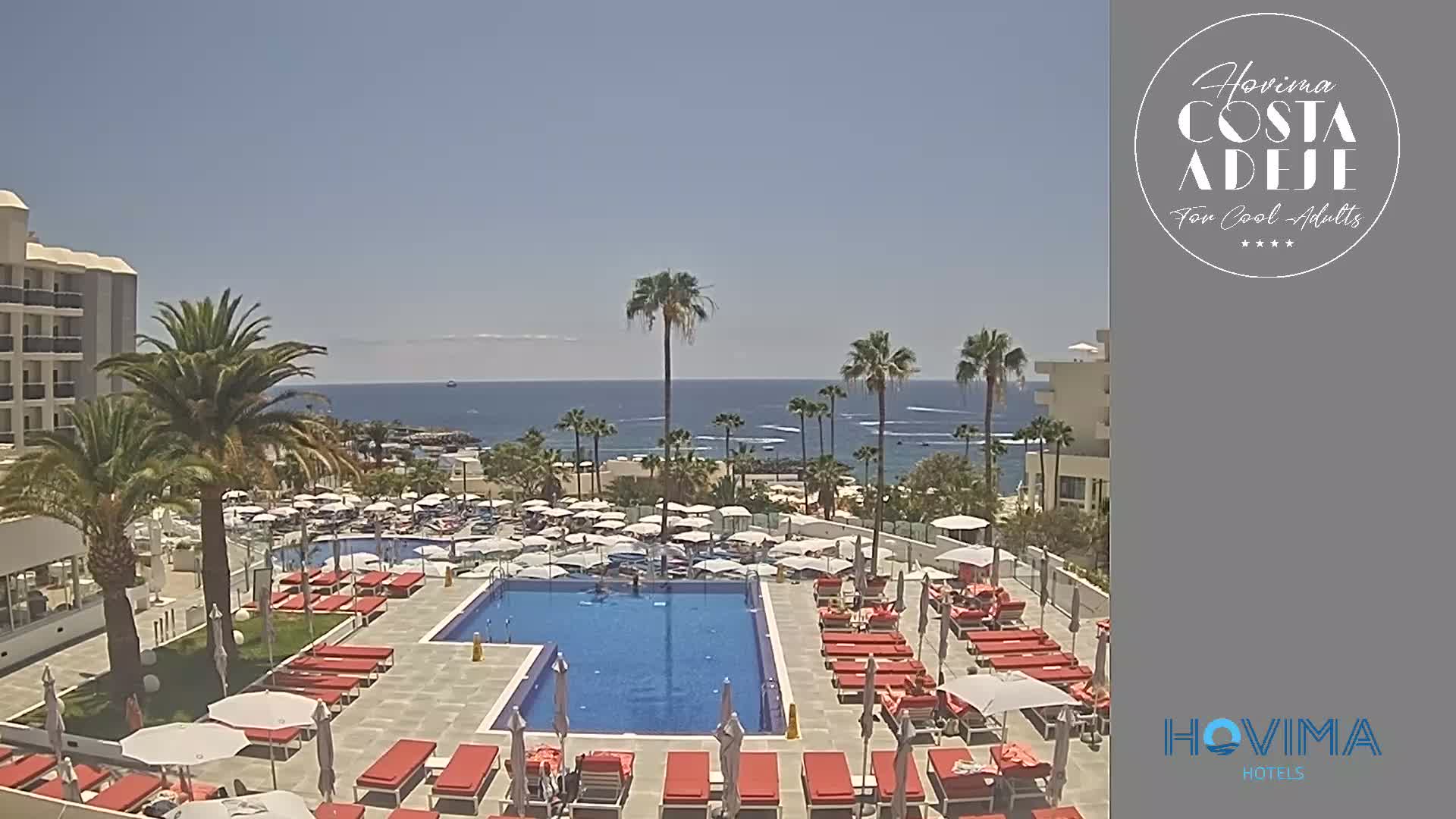 An outdoor swimming pool surrounded by red lounge chairs and palm trees overlooks a calm ocean on a sunny day.