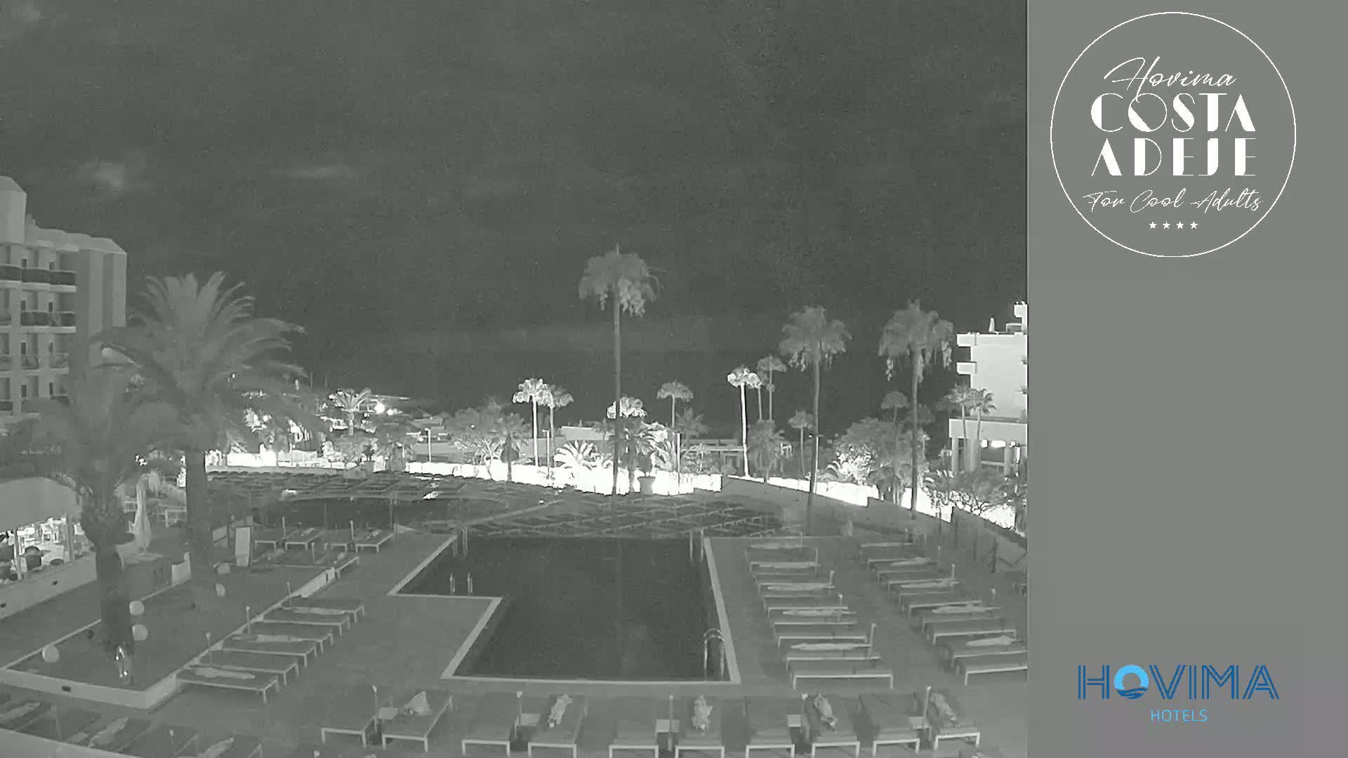 A nighttime, black and white view of a resort pool area with palm trees, lounge chairs, and a building in the background under a dark, clear sky.