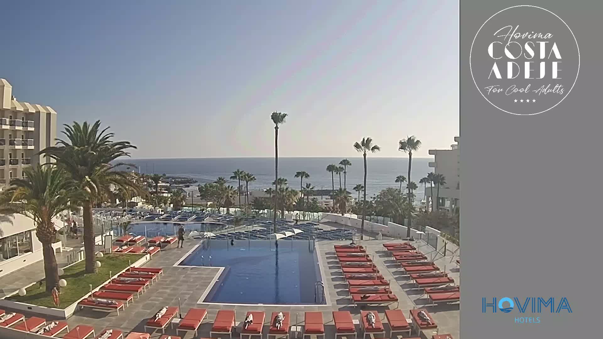 A resort pool area with numerous lounge chairs surrounding a swimming pool, palm trees, and a clear view of the ocean under a sunny sky.
