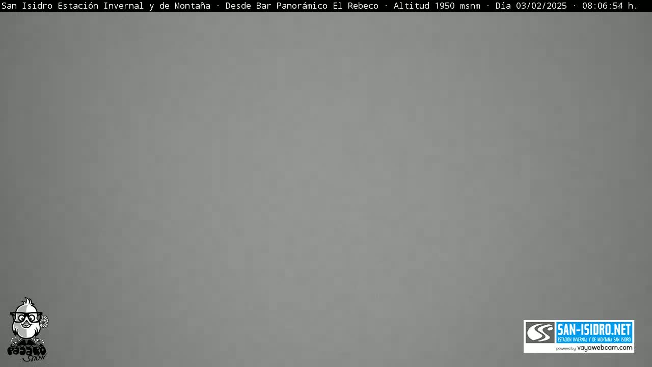 A solid, light gray field fills the entire image.