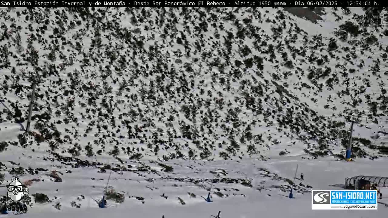 A snow-covered hillside with sparse, dark vegetation and a few people skiing.