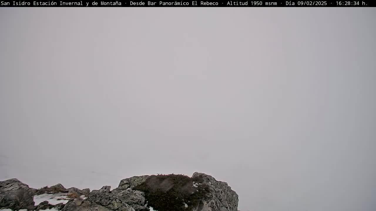 A rocky outcrop is partially visible through a thick, gray fog.