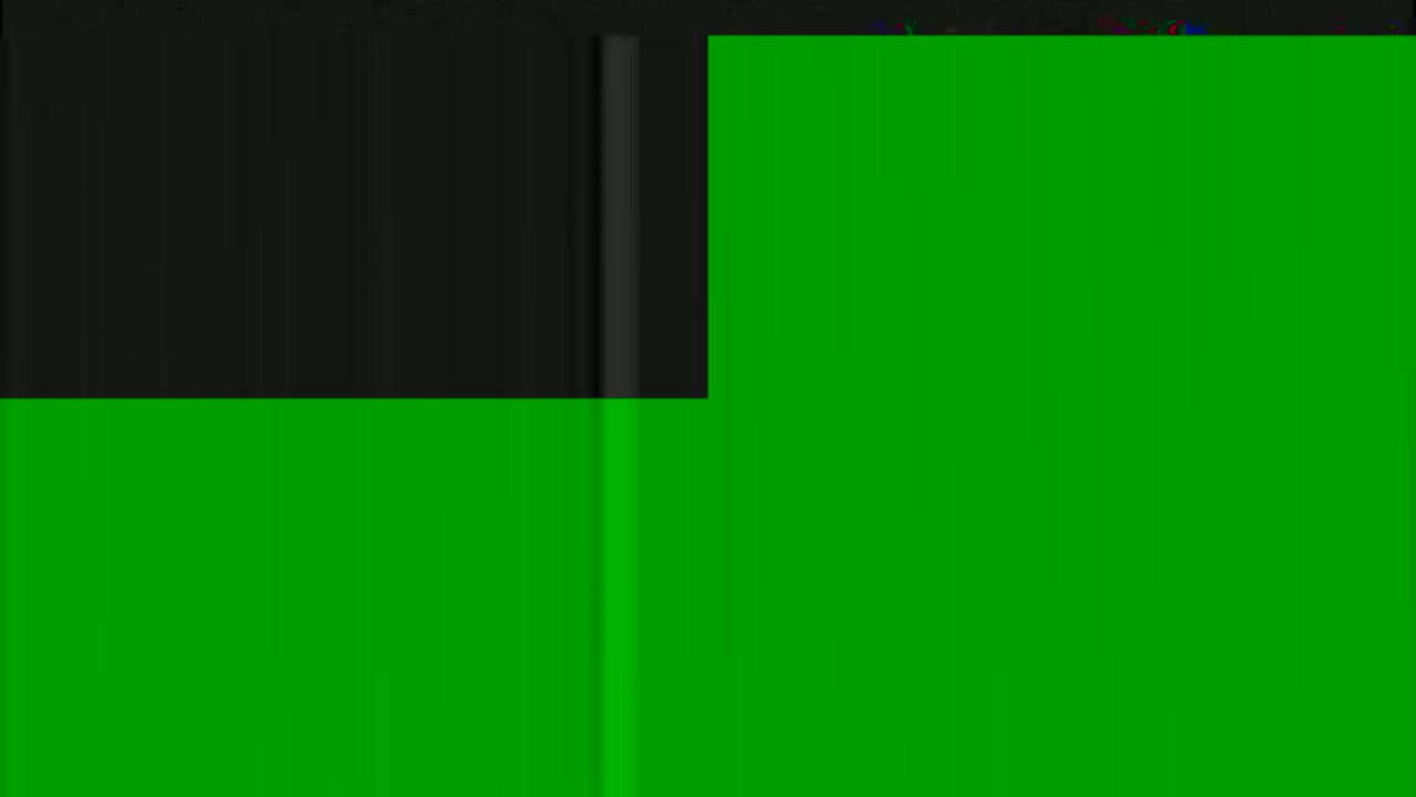 The image shows a mostly green screen with a smaller section of black in the upper left corner.
