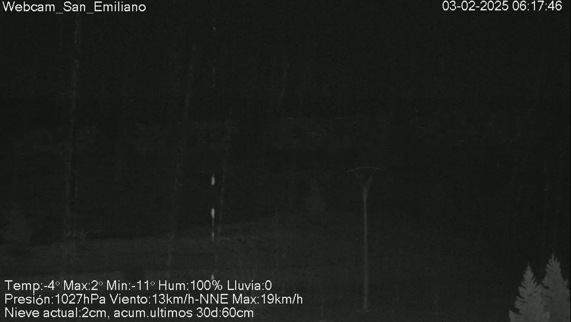 A nighttime, low-light view of a dark landscape with trees and a pole, under conditions of 100% humidity and 2 centimeters of fresh snow.