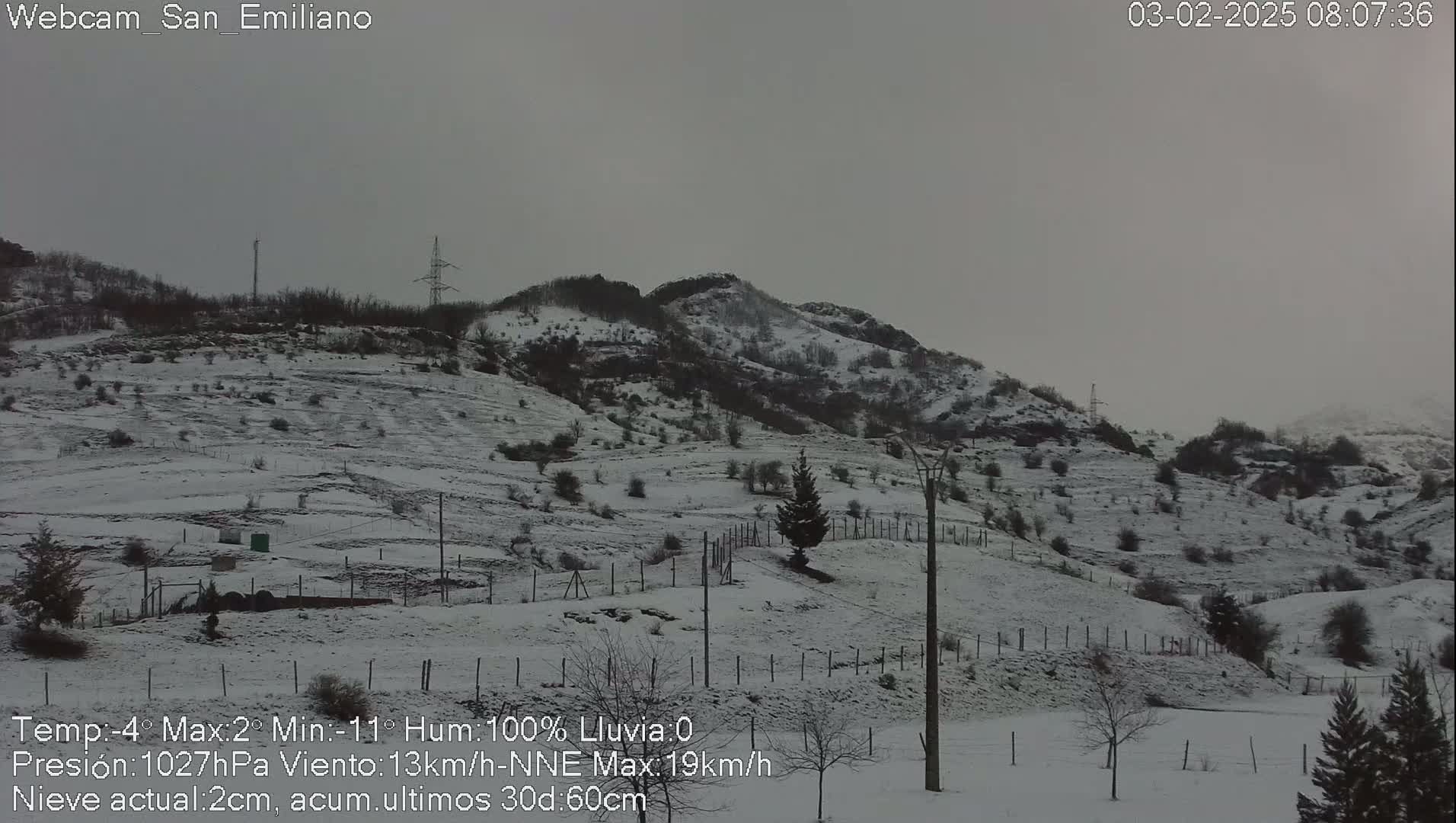A snow-covered hillside with sparse vegetation and utility poles under a gray, overcast sky.