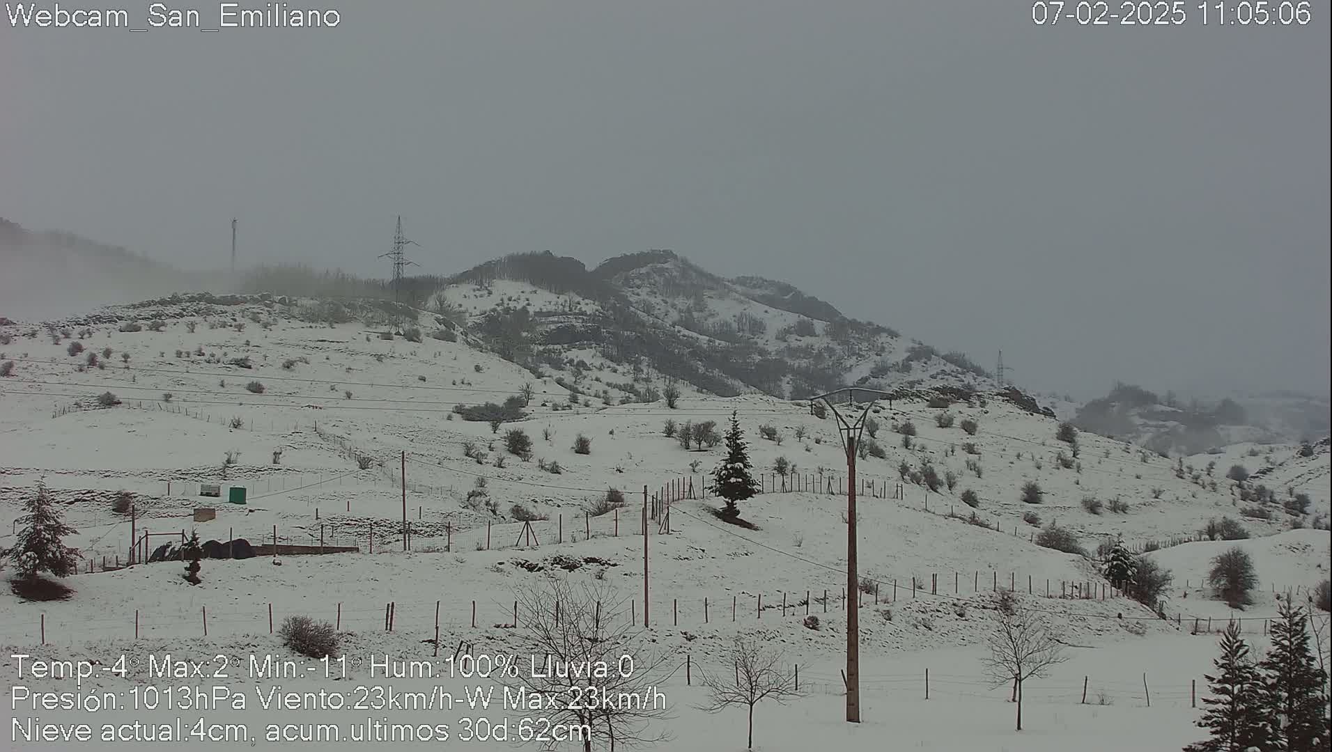 A snow-covered hillside with scattered trees and utility poles under an overcast sky.
