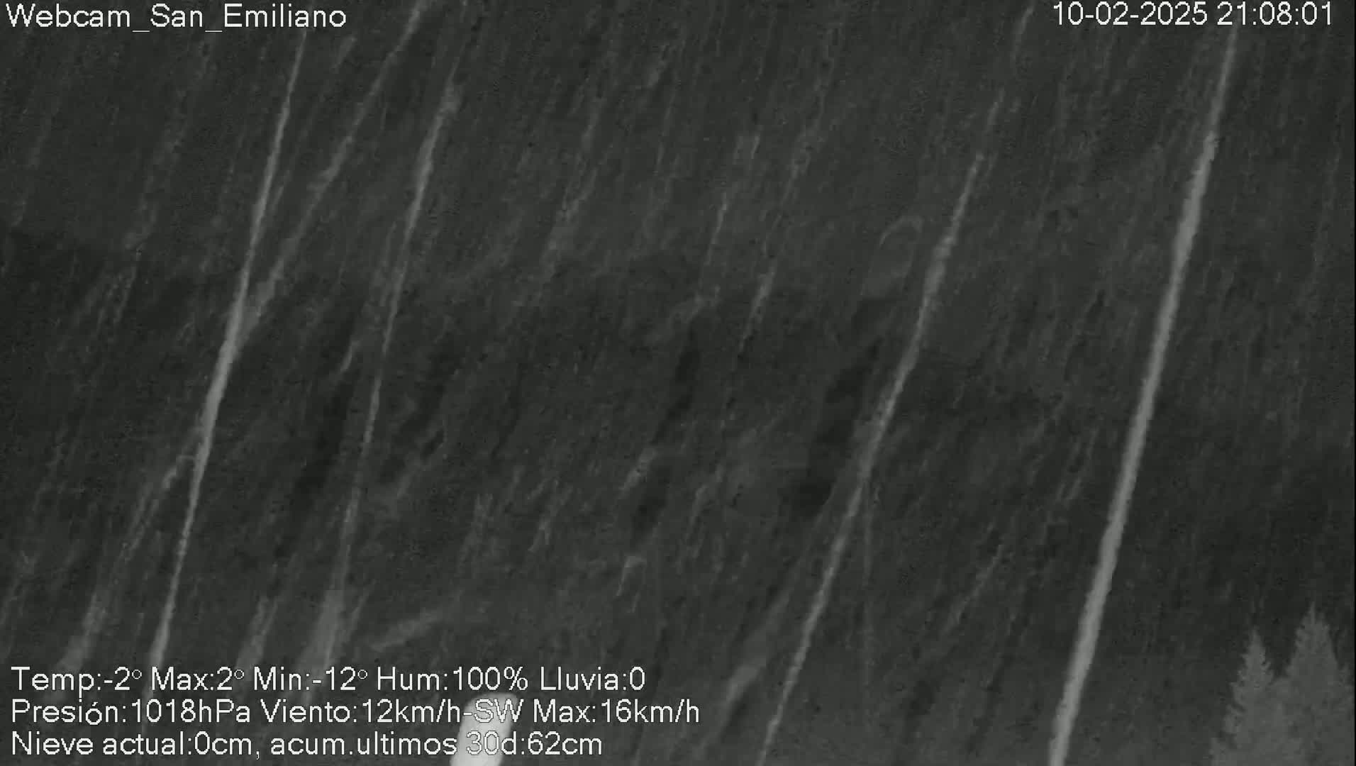 A nighttime, outdoor webcam view shows heavy rain falling on a dark landscape with some trees visible in the lower right corner.
