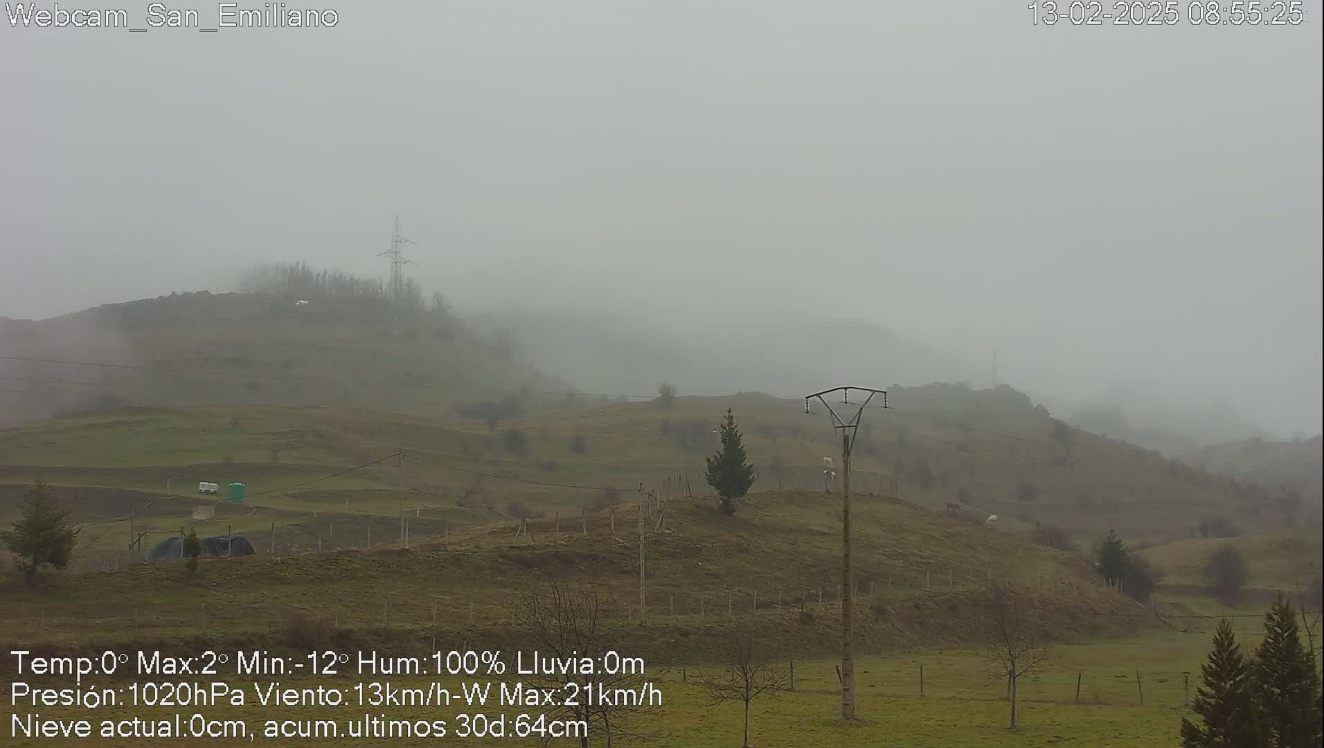 A foggy landscape of rolling green hills dotted with sparse trees and utility poles.