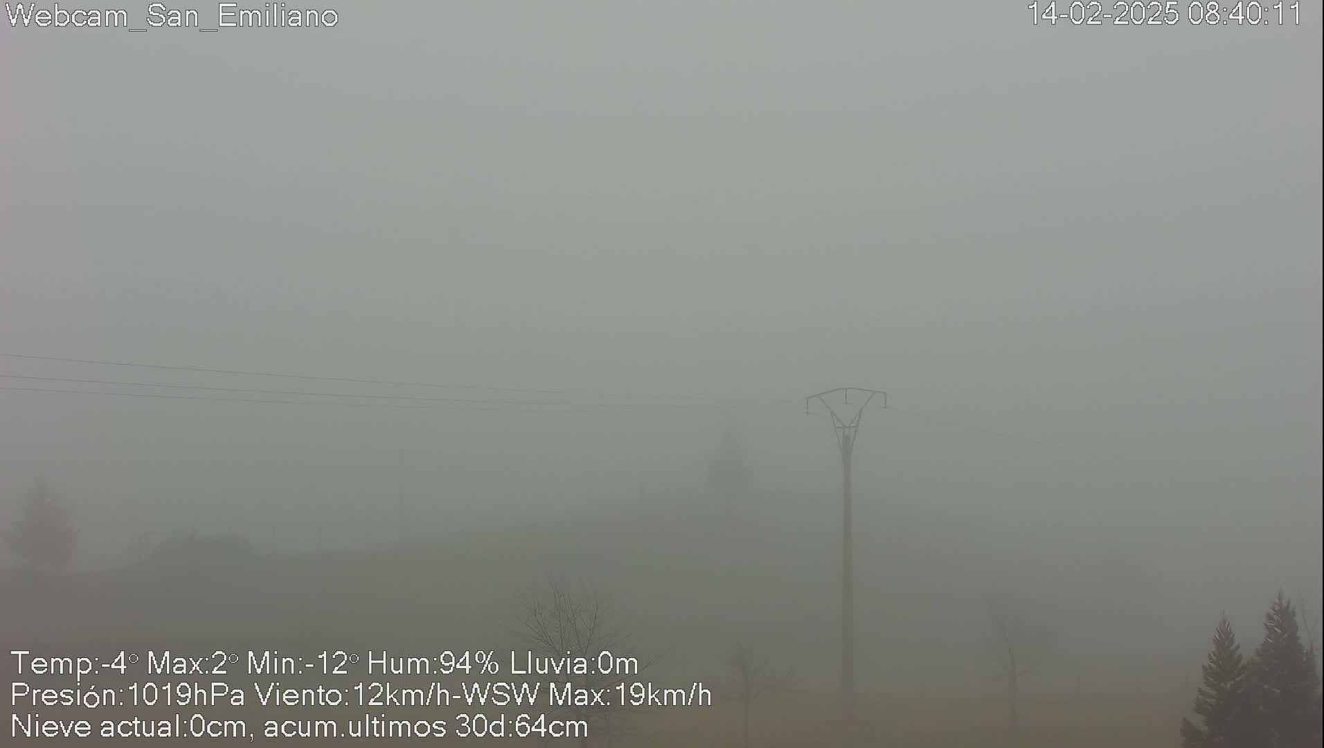 A very foggy landscape is visible, showing a tall power line and some barely visible trees in the distance.