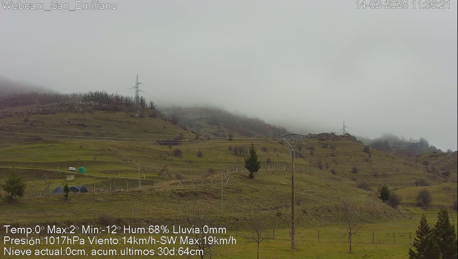 A foggy, overcast scene shows a hilly, grassy landscape with scattered trees and power lines.