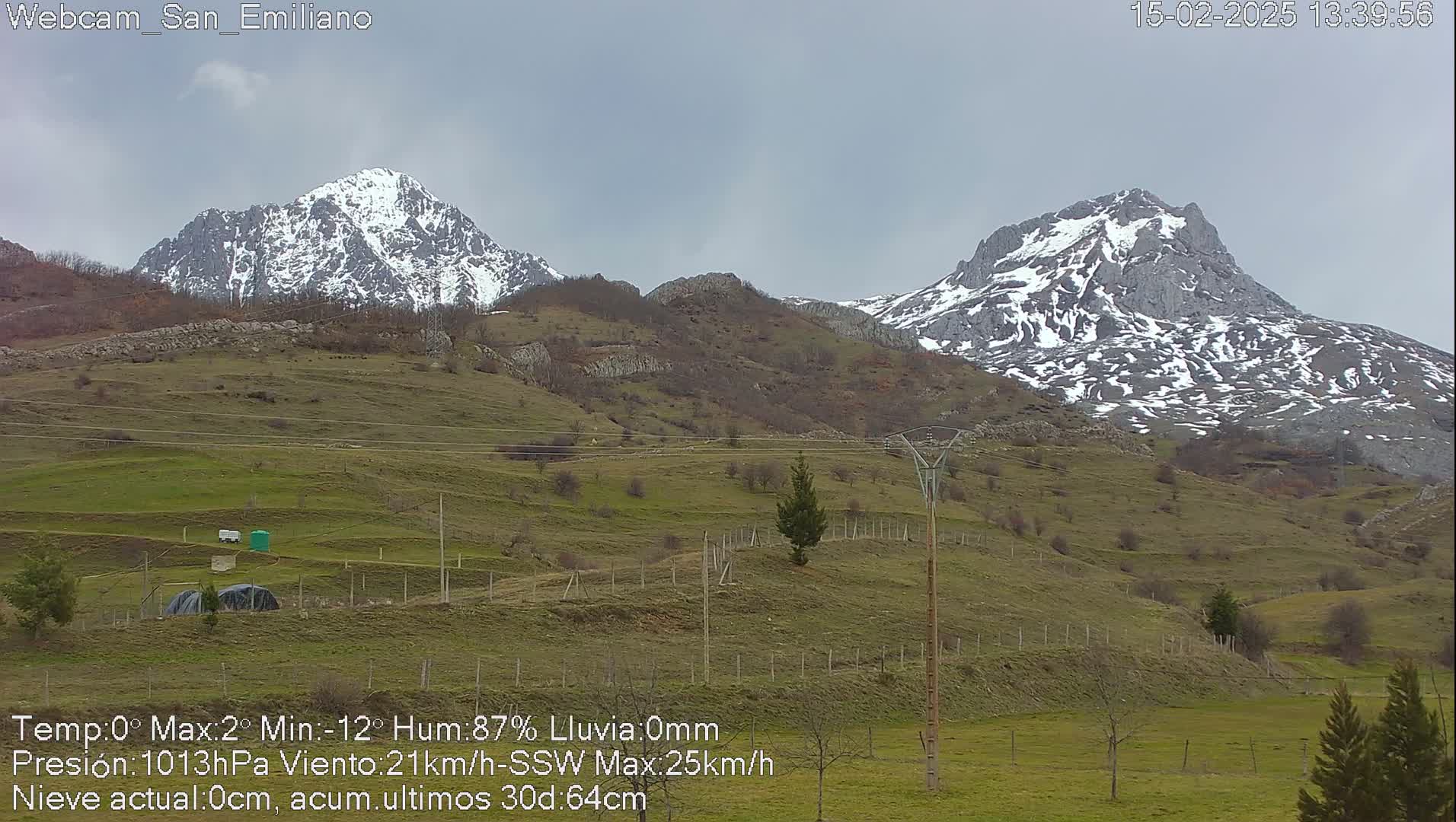 Snow-capped mountains rise in the distance over a gently sloping green pasture under a cloudy sky.