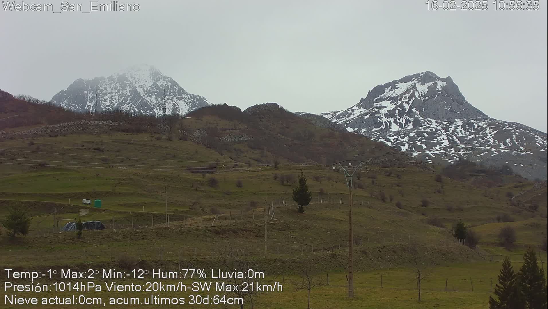 Two snow-capped mountains rise in the distance over a grassy hillside under an overcast sky.