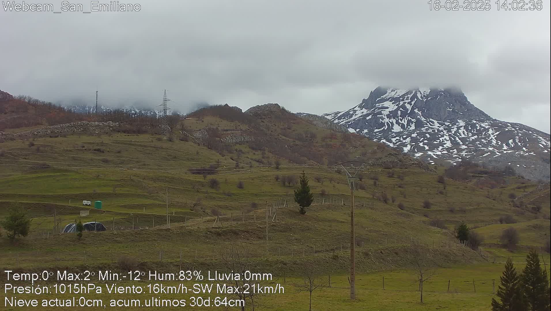 A partly cloudy, overcast day reveals a snow-dusted mountain in the distance overlooking a green, hilly pasture with some sparse trees and utility poles.