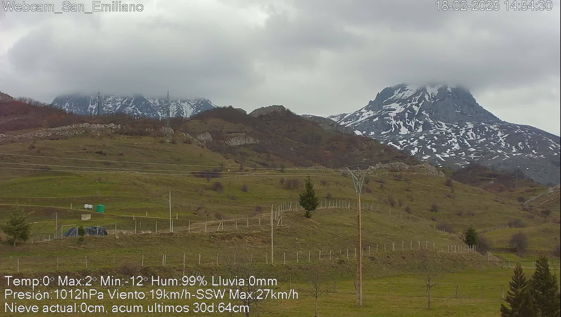 A mostly cloudy day reveals snow-capped mountains in the distance, overlooking a hilly green pasture with scattered trees and utility poles.