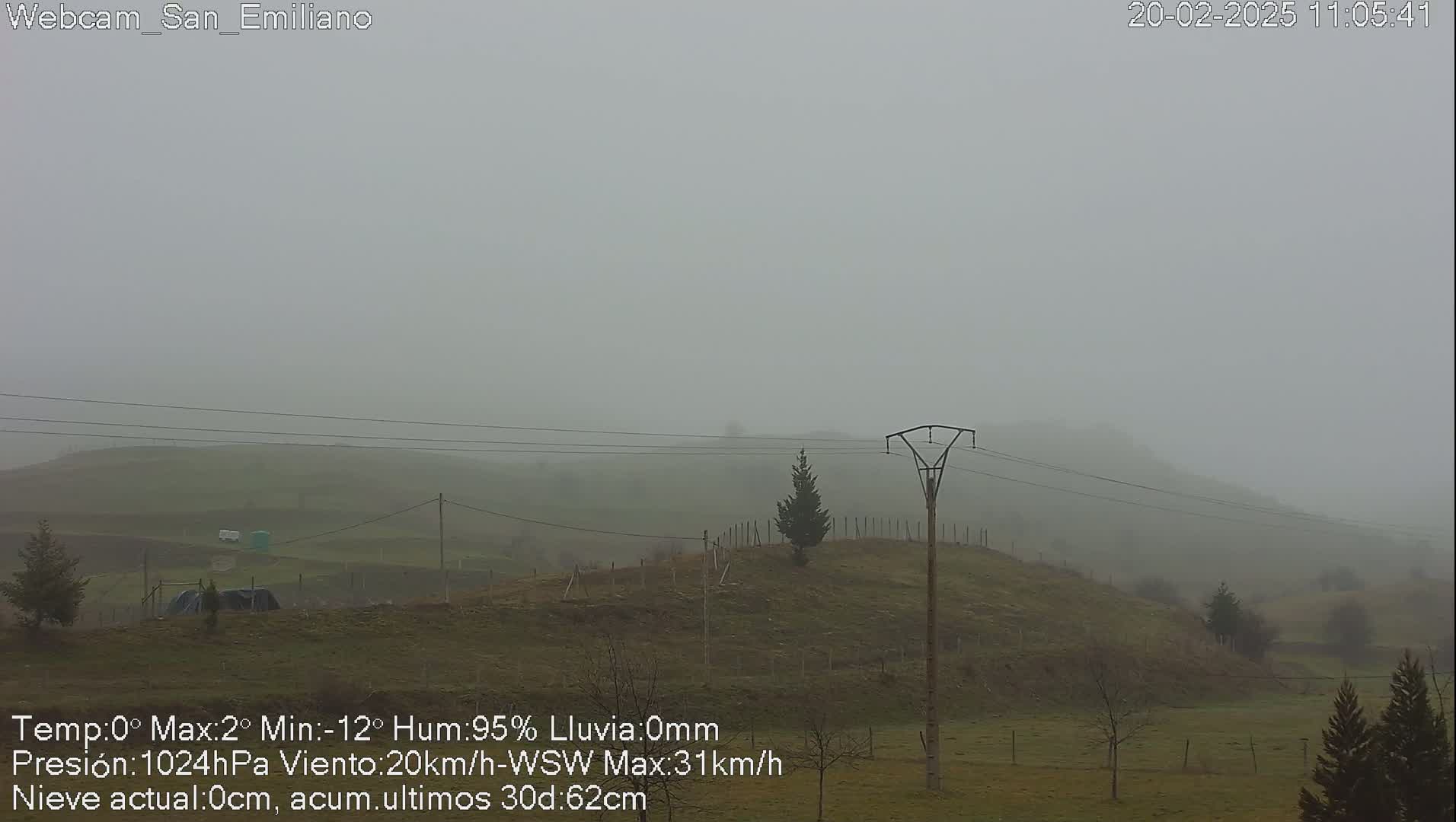 A foggy, grassy hillside with a few trees and power lines is visible under an overcast sky.