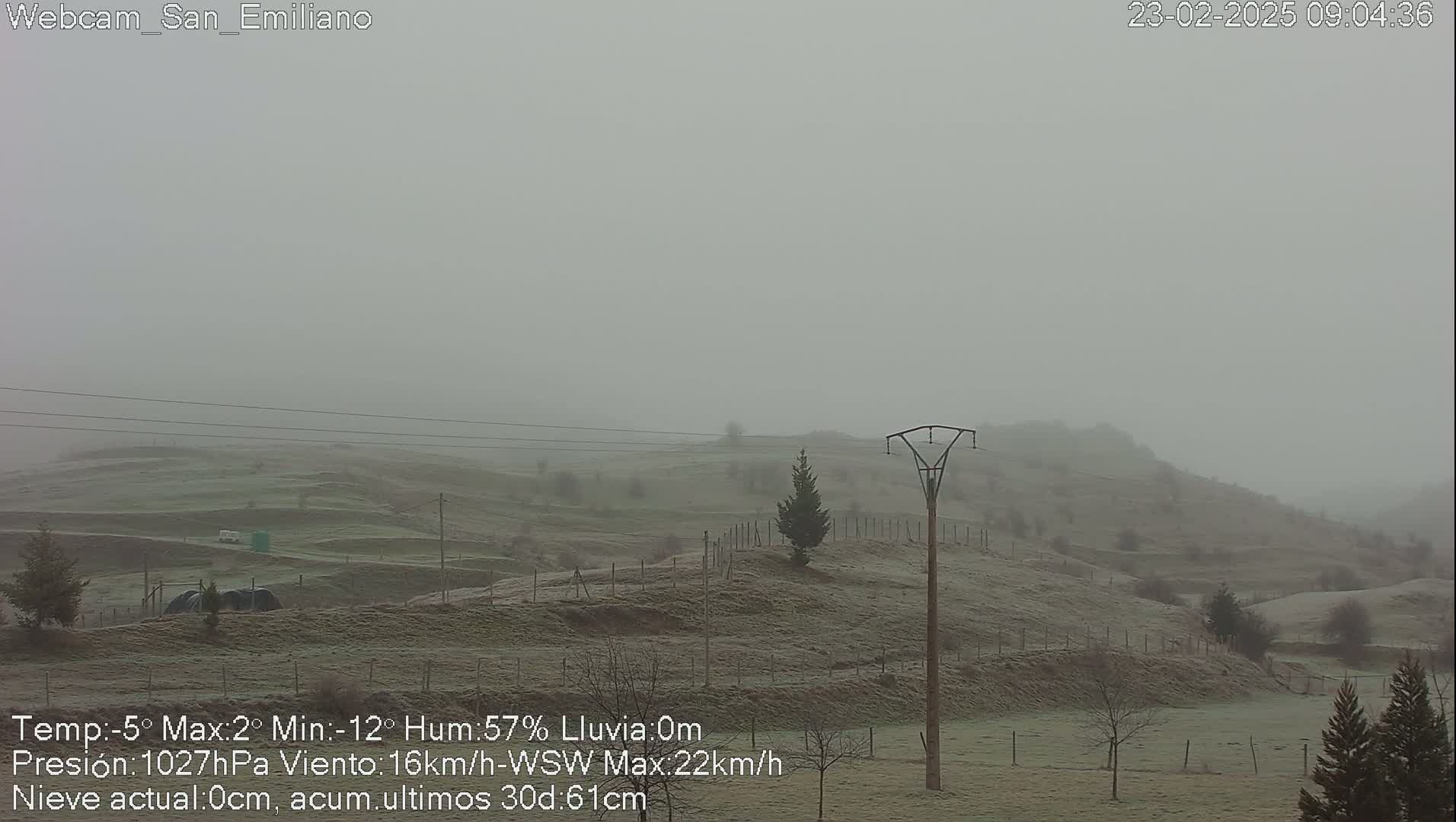 A foggy, frosty landscape shows rolling hills with sparse vegetation and a lone utility pole under an overcast sky.