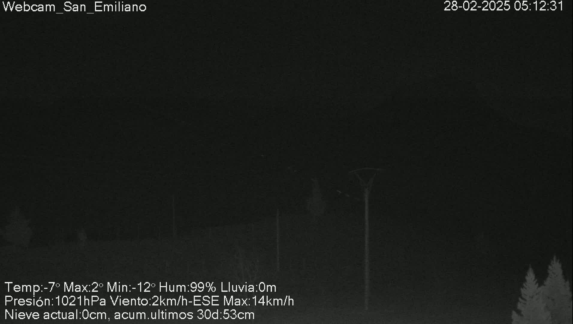 A nighttime, low-light image shows a dark, overcast sky with some faint light sources in the distance and a few evergreens to the right.