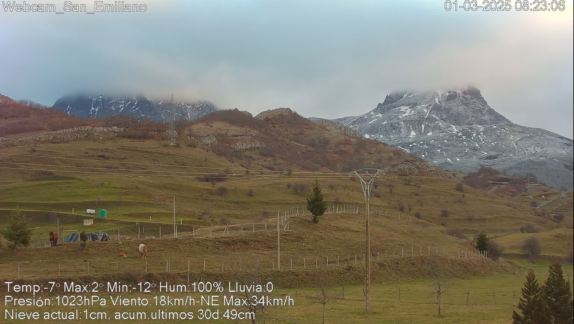 A snow-dusted mountain range is visible under a cloudy sky, overlooking a hilly, grassy pasture with a few animals and some small structures.