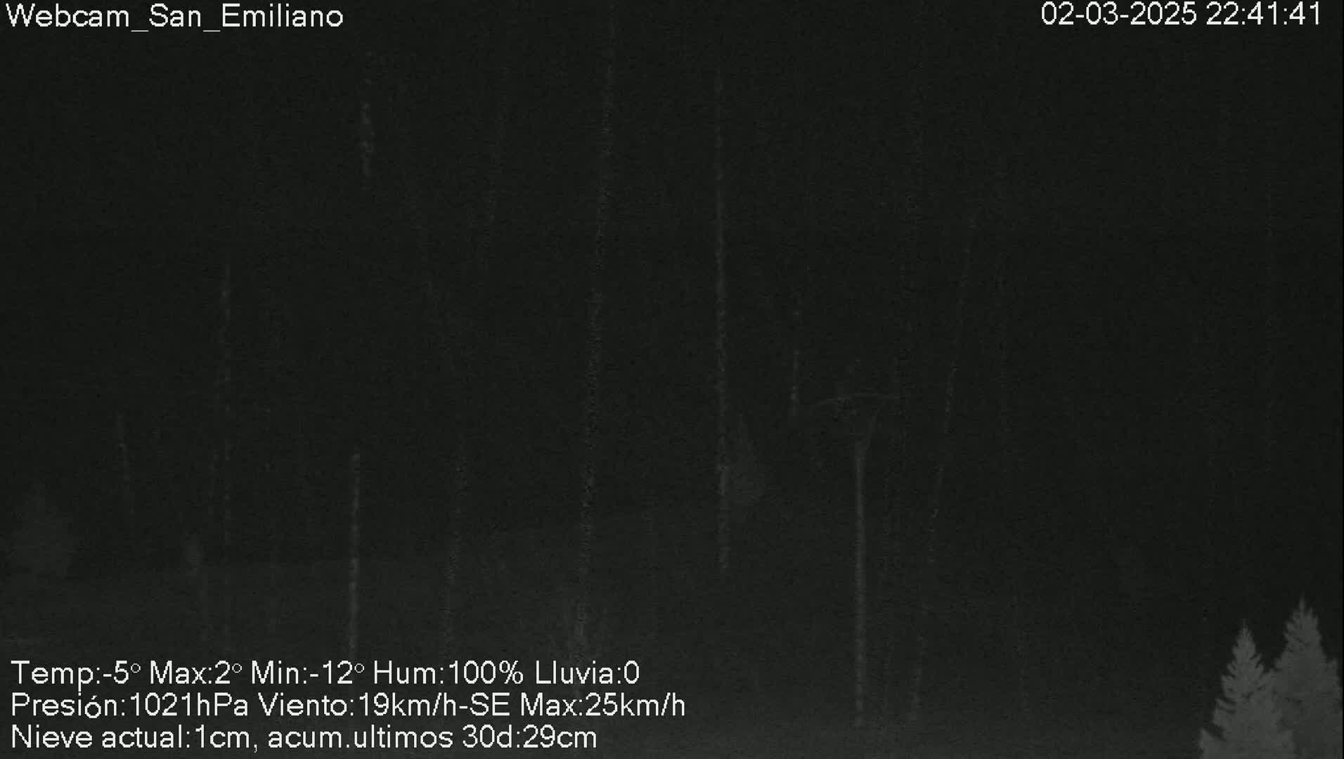 A nighttime, dark view of a snow-covered landscape with some trees visible in the lower right corner under a dark, overcast sky with light snow falling.