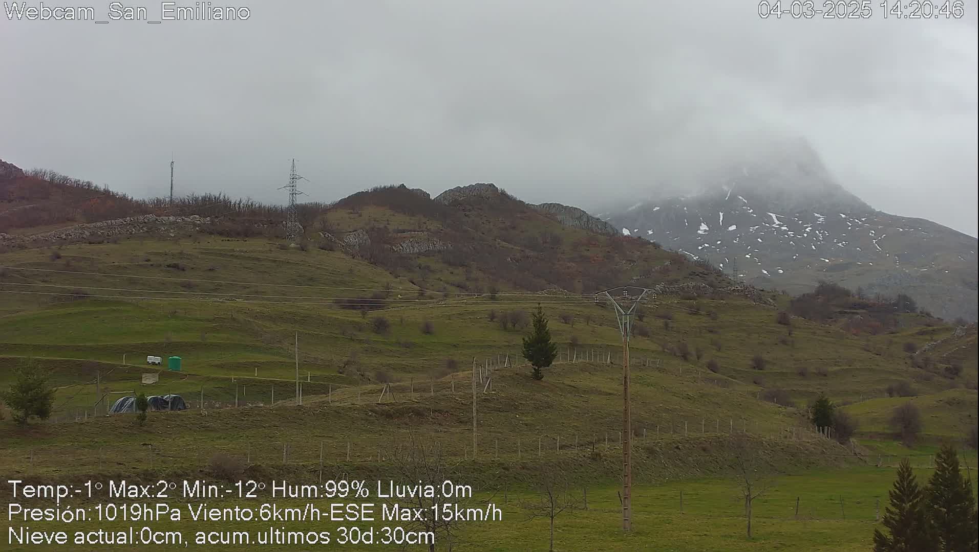 A view of a grassy hillside dotted with small trees and shrubs under a cloudy, overcast sky, with a snow-dusted mountain range in the background.
