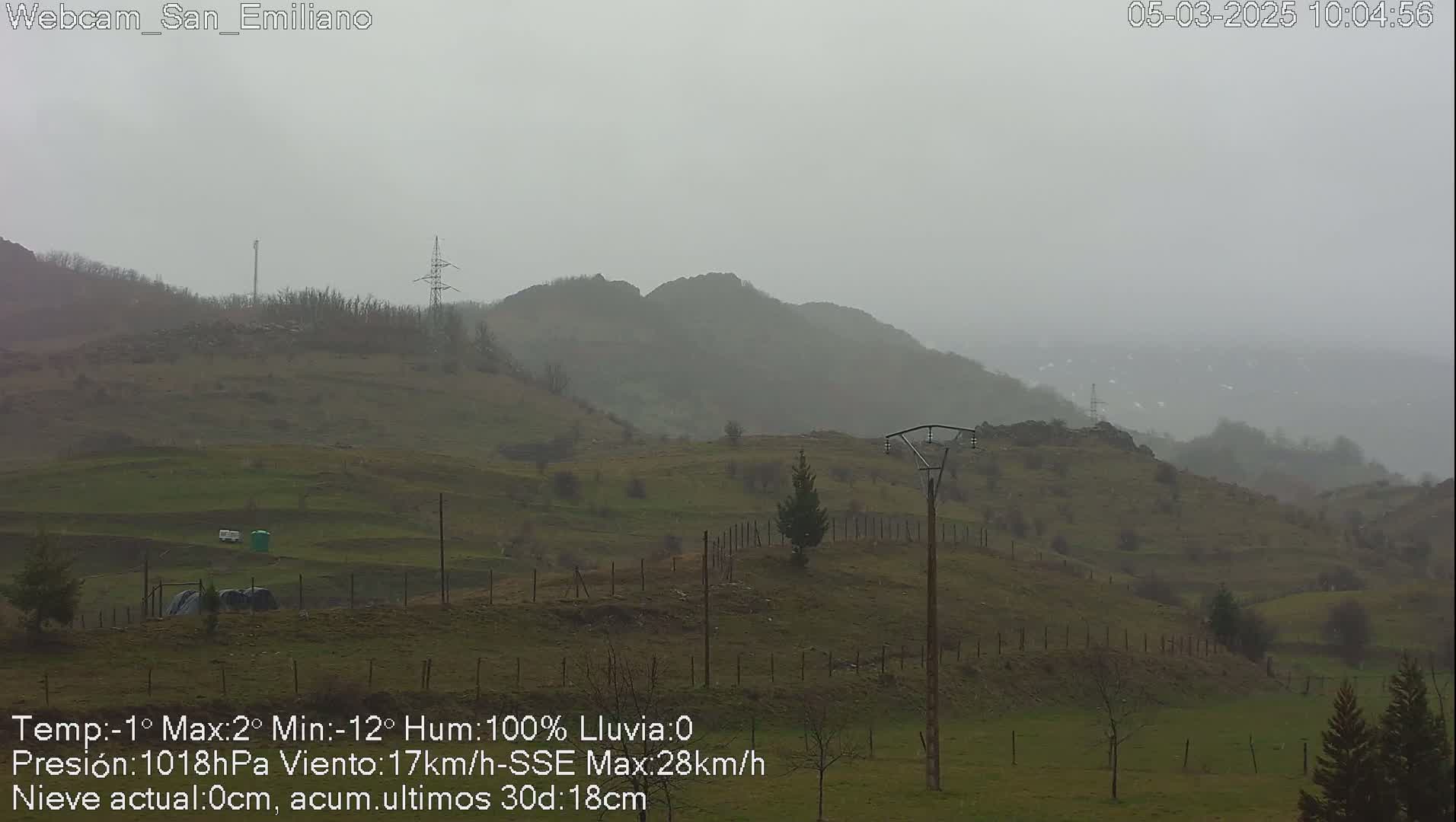 A foggy, overcast scene shows a rolling green hillside with a wooden utility pole and fences, under a gray sky.
