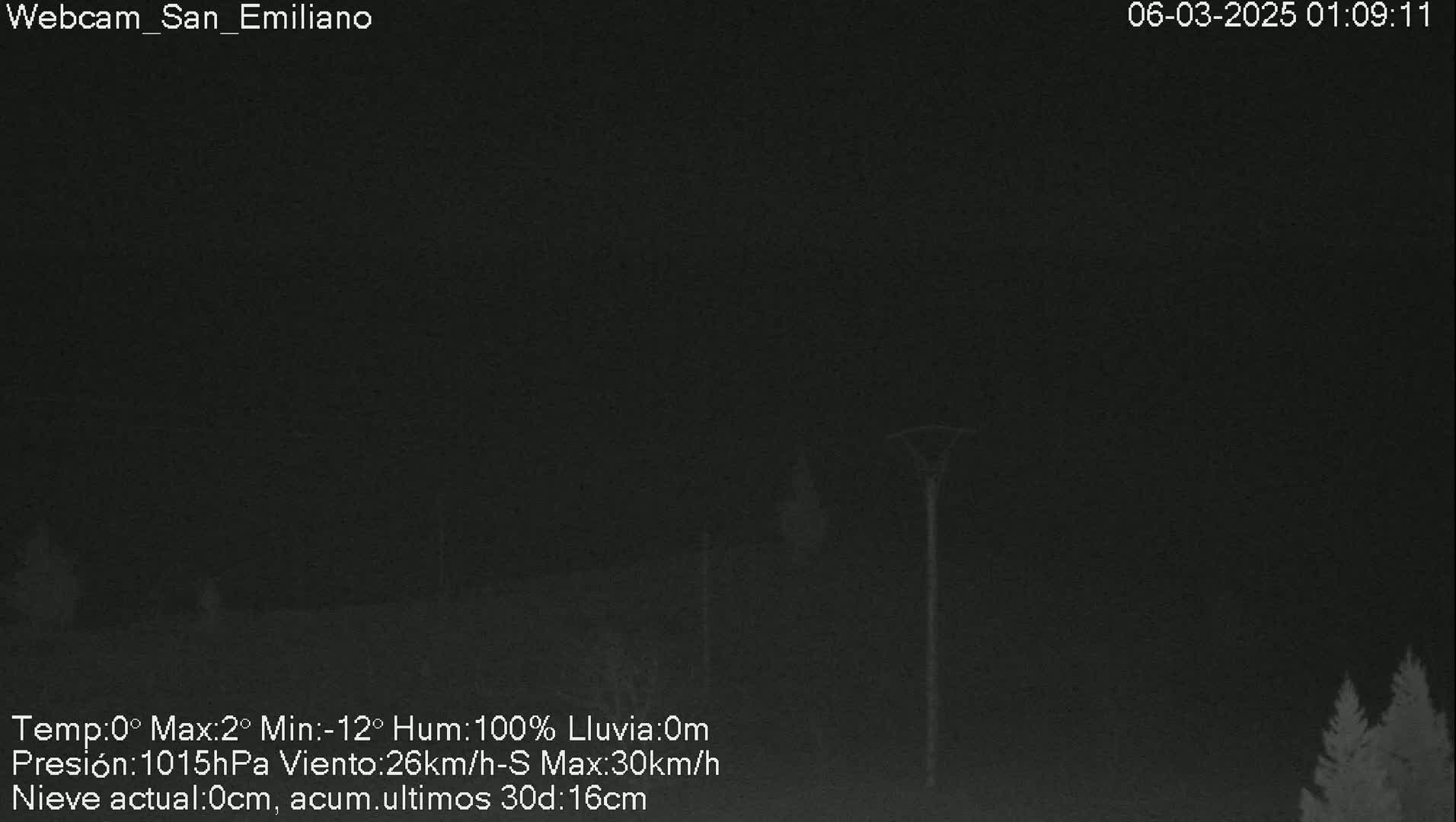 A dark nighttime scene shows a few indistinct trees in the lower right corner, under a completely overcast sky with 100% humidity.