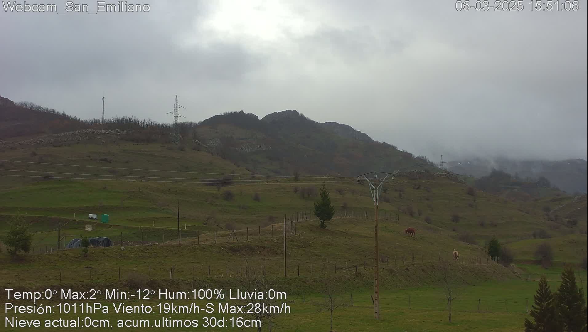 A misty, overcast day reveals a grassy hillside with two horses, power lines, and distant mountains.