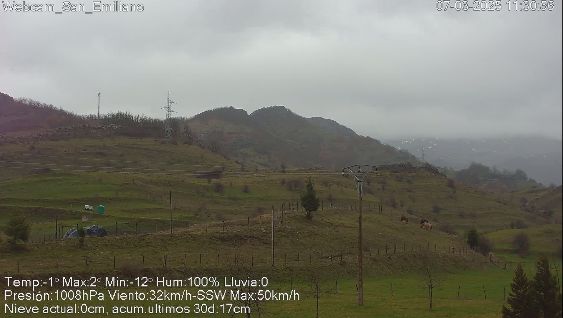 A gray, overcast day reveals a hilly landscape with a few horses grazing in a fenced pasture, power lines, and distant mountains under a cloudy sky.