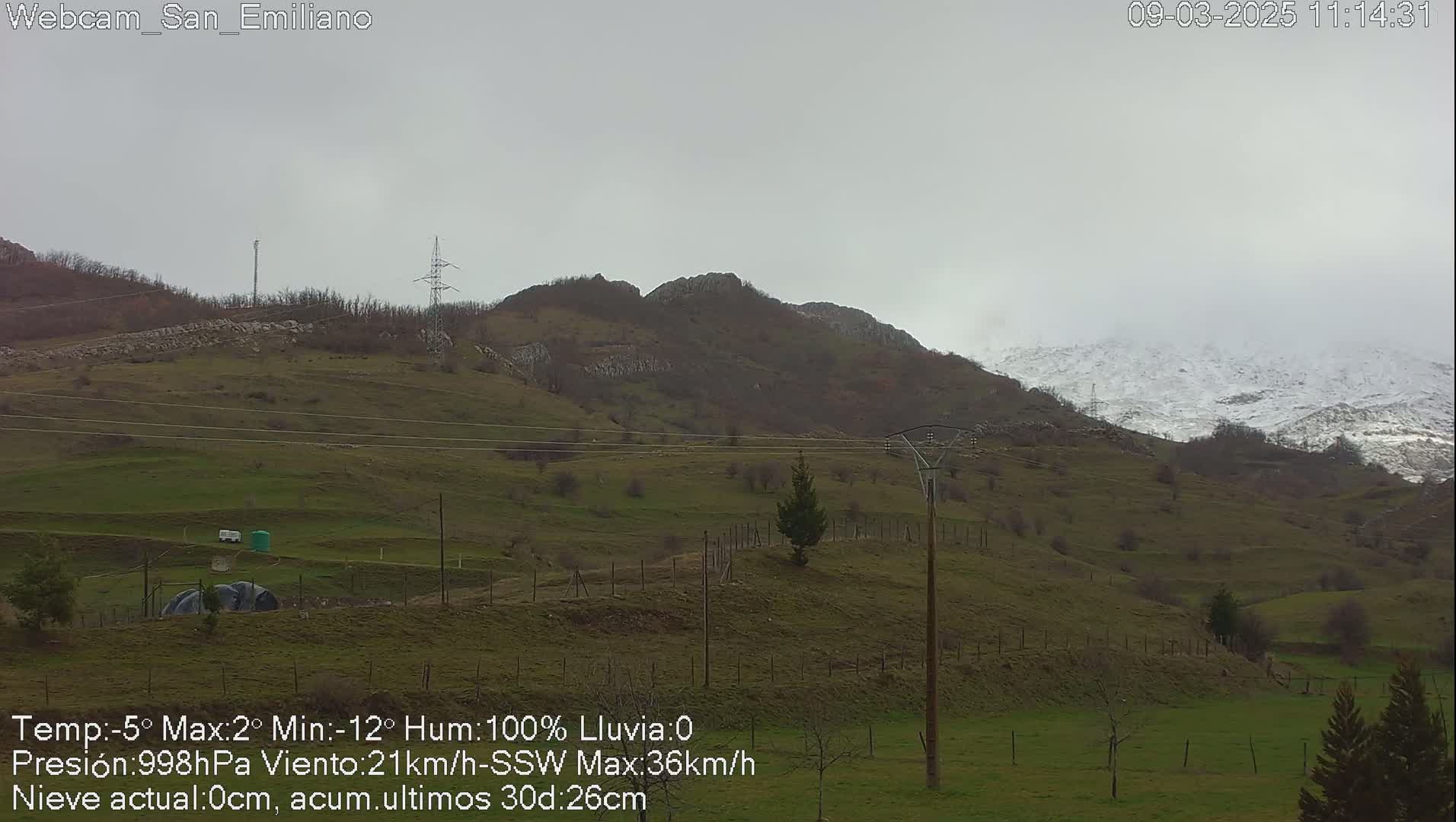 A snow-dusted mountain range is visible in the distance under an overcast sky, with a grassy hillside and power lines in the foreground.