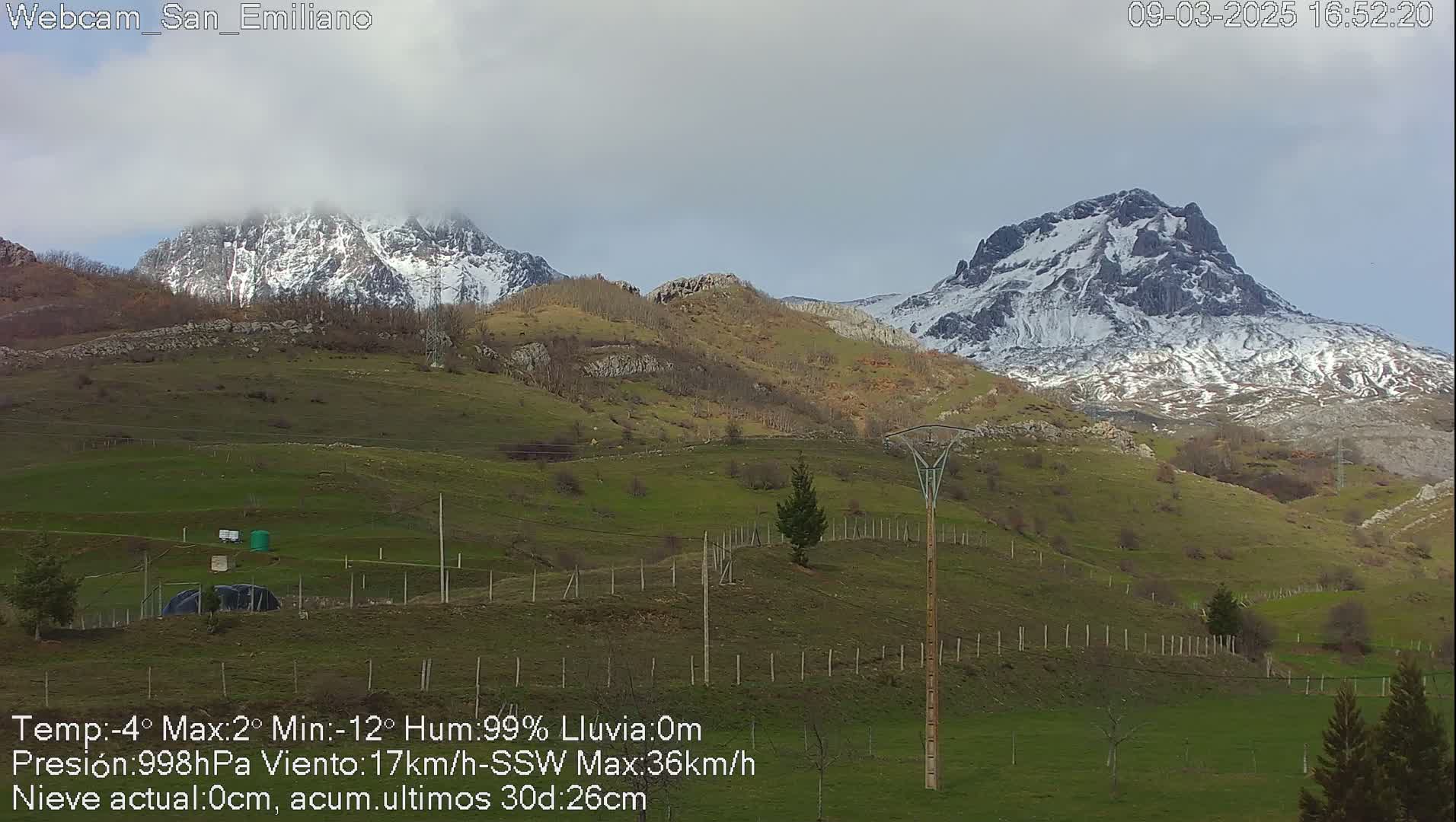 Snow-capped mountains rise in the distance above a gently sloping green pasture under a cloudy sky.