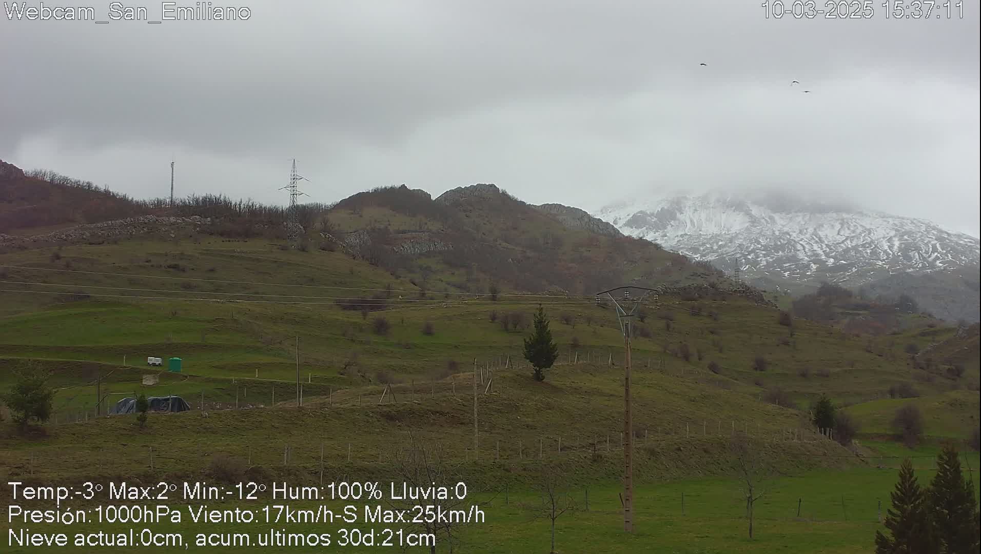 A snow-capped mountain range is visible in the distance under an overcast sky, with a grassy hillside in the foreground.