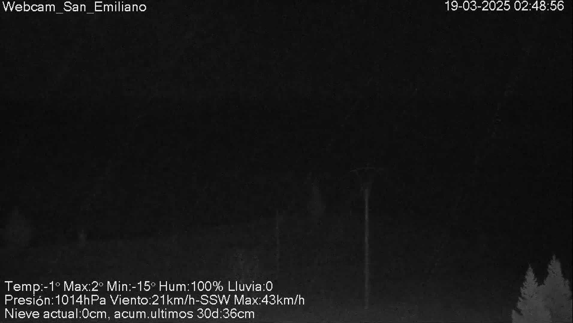 A dark, nighttime outdoor scene shows a few barely visible trees in the lower right corner under a completely overcast sky.