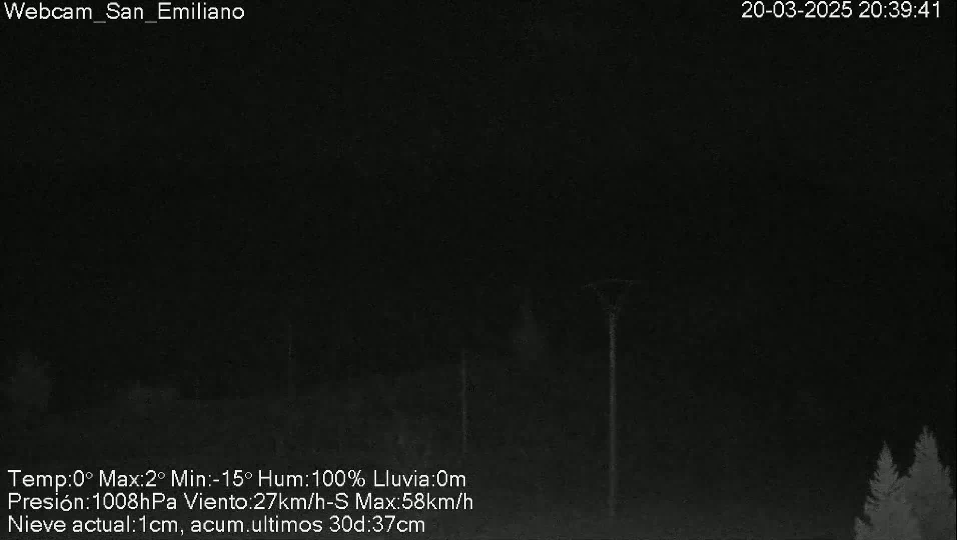 A dark, nighttime outdoor scene showing a few tall, thin objects silhouetted against a nearly black sky under conditions of 100% humidity and 1 centimeter of fresh snow.