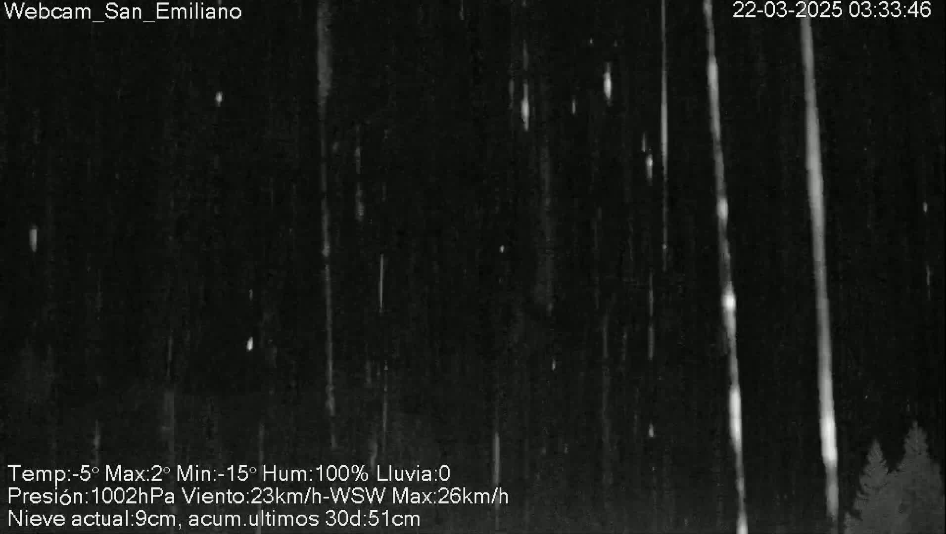 A nighttime outdoor scene shows heavy snow falling in front of a dark forest.