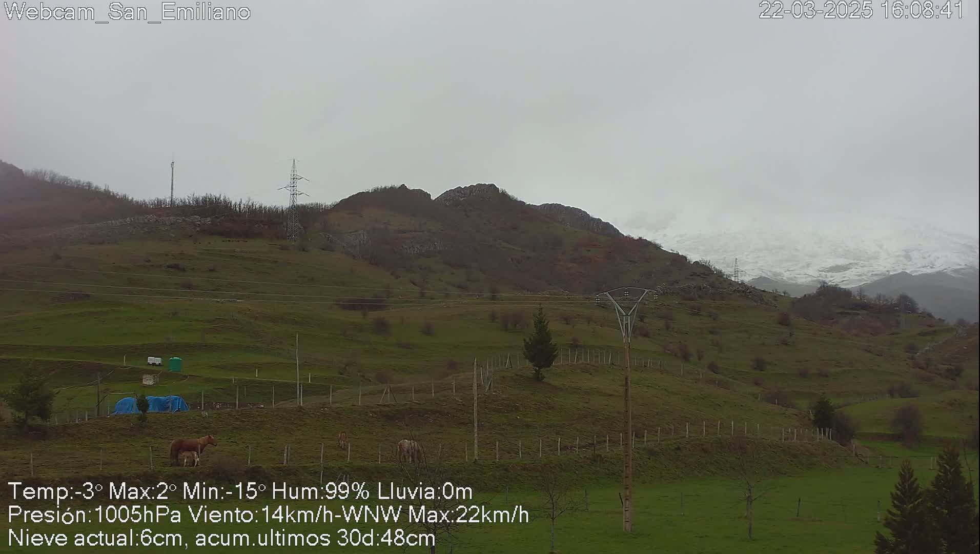 A cloudy, overcast day reveals a grassy hillside with a few horses and some distant snow-capped mountains.