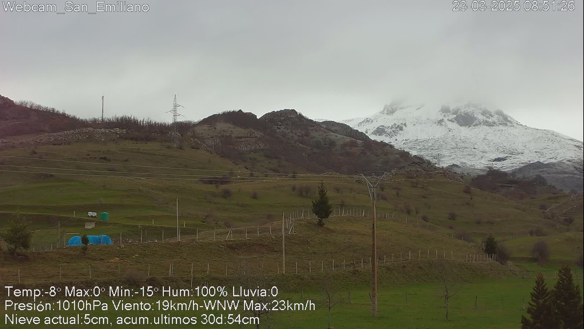 A snow-capped mountain is visible in the distance under an overcast sky, overlooking a gently sloping grassy hillside with sparse trees and fences.