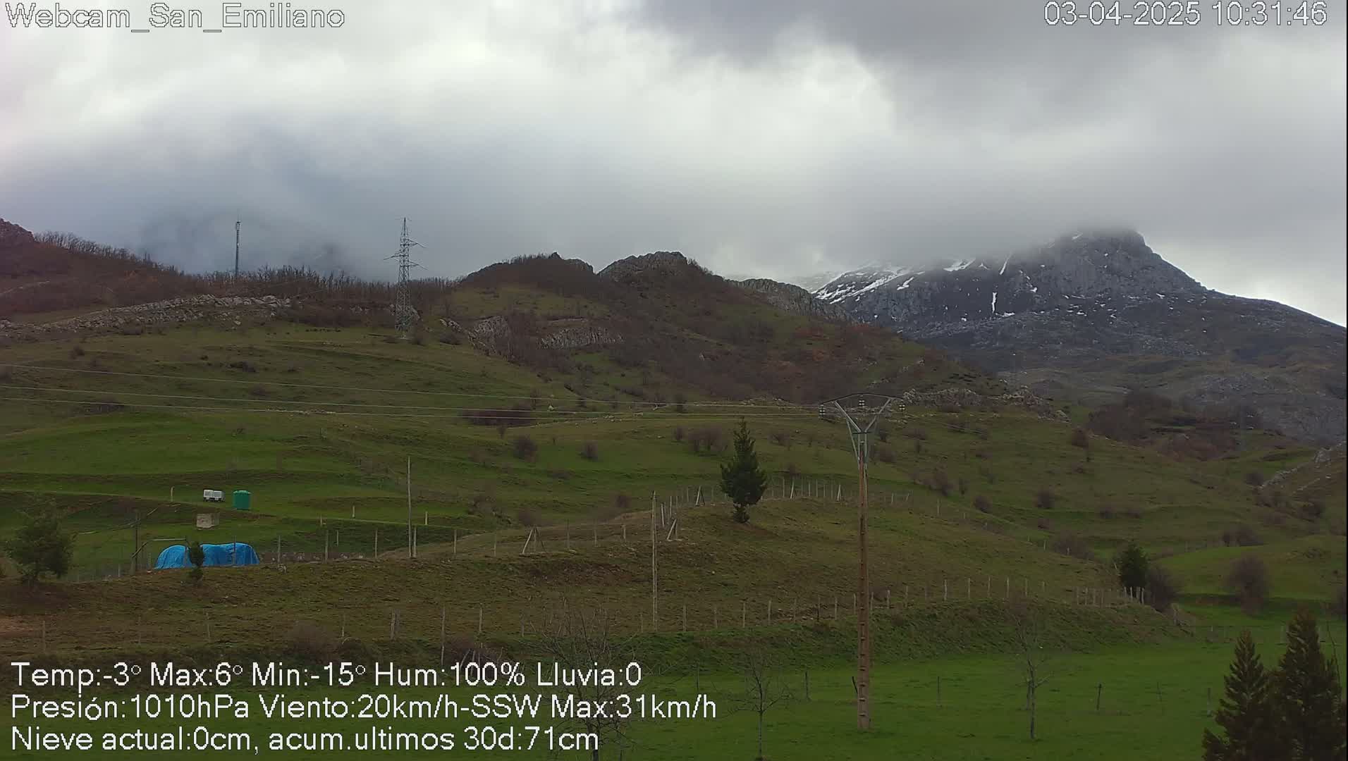 A cloudy, overcast day reveals a verdant hillside dotted with sparse trees and a distant, snow-capped mountain range.