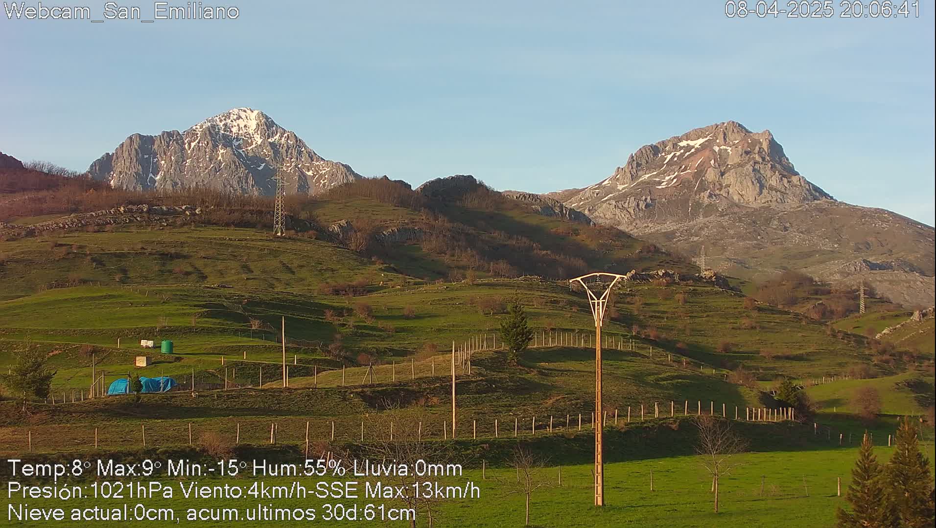 A snow-capped mountain range is visible in the distance over a gently rolling green pasture under a clear blue sky.