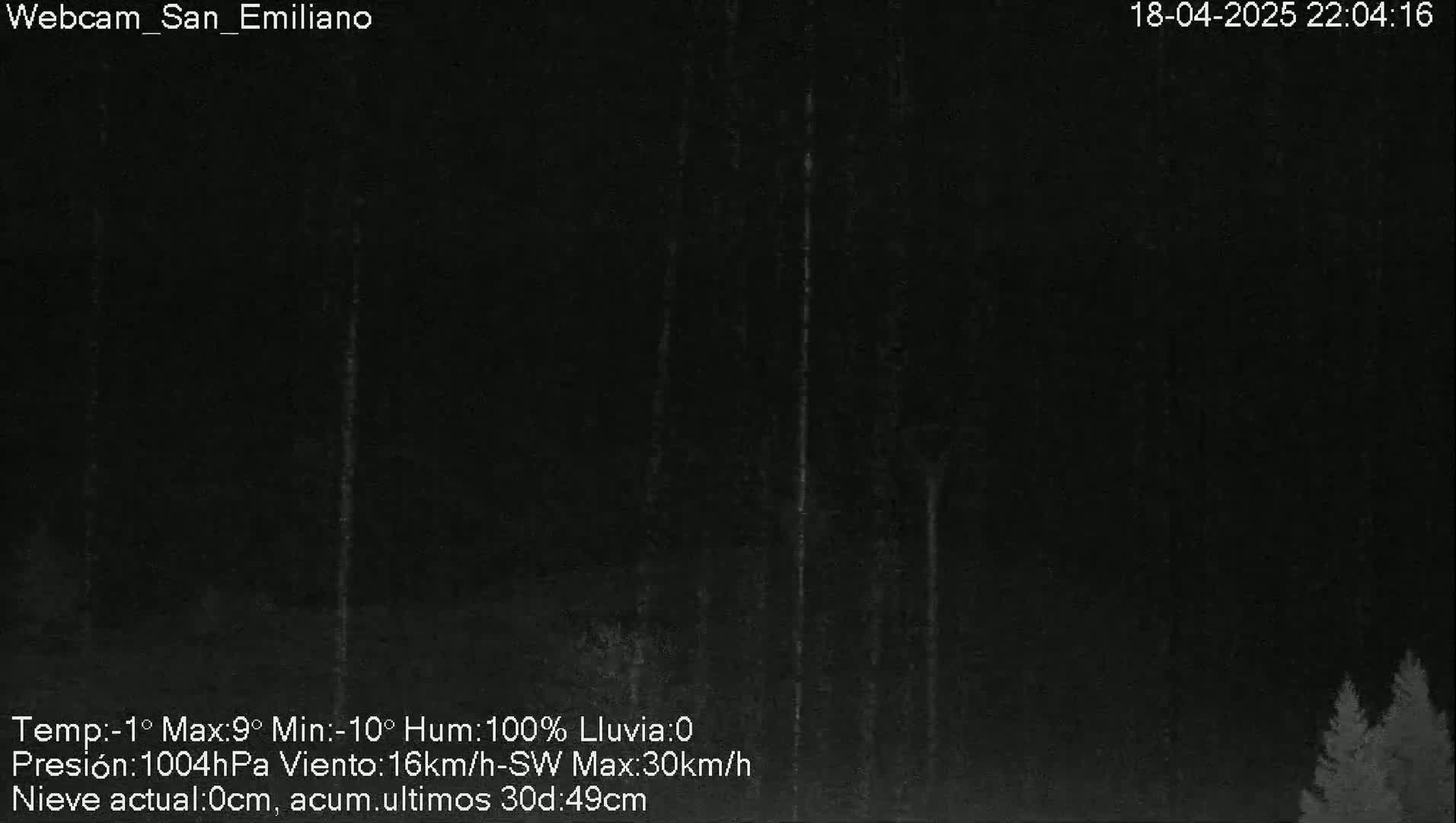 A nighttime, dark view of trees under a rainy sky.
