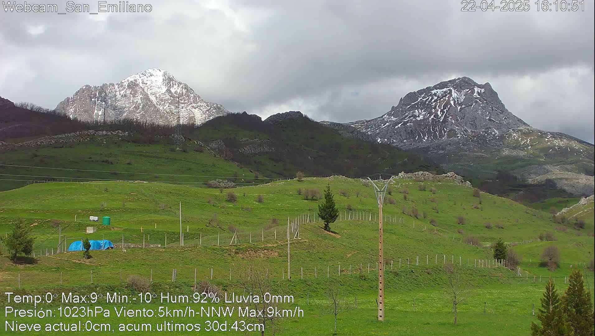 Two snow-capped mountains rise in the distance above a verdant hillside under an overcast sky.